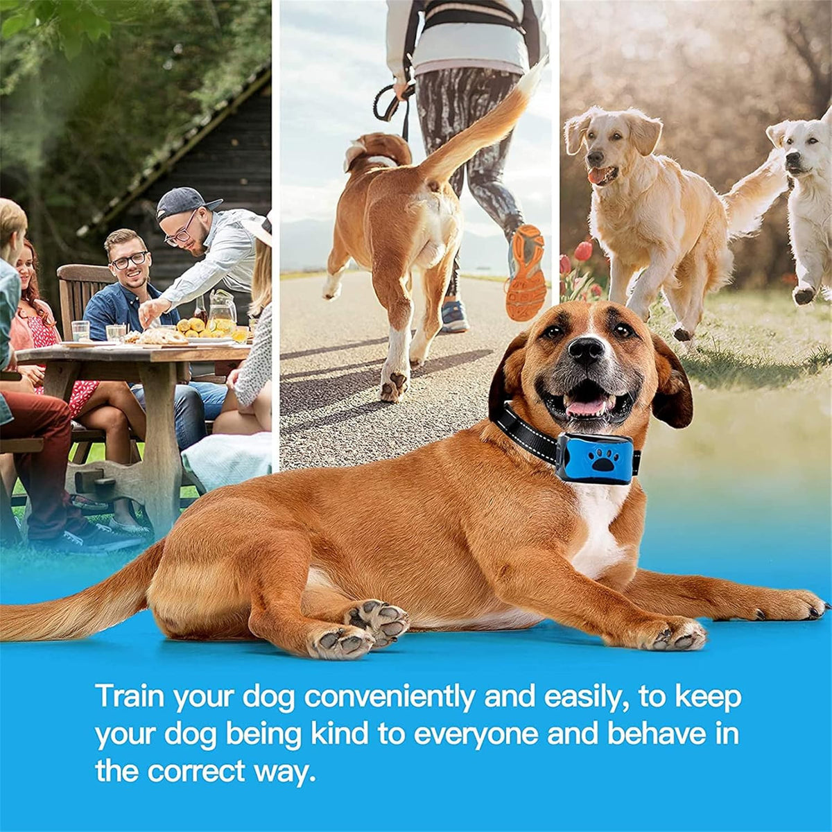 Anti-Bell-Halsband für Hunde mit Ton und Vibration – 7 Empfindlichkeitsstufen, verstellbarer reflektierender Nylongurt (20–55 cm)
