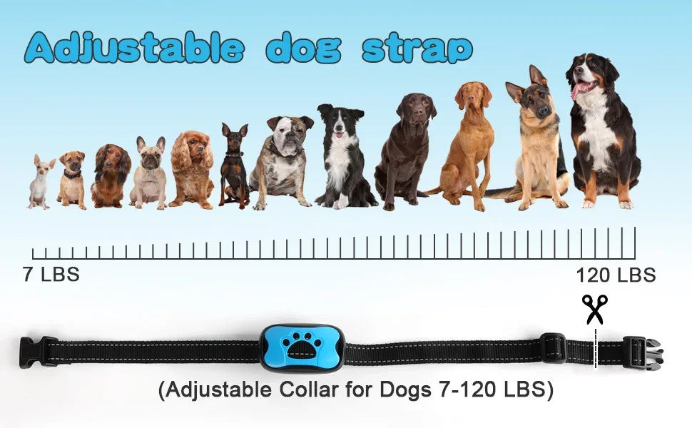 Anti-Bell-Halsband für Hunde mit Ton und Vibration – 7 Empfindlichkeitsstufen, verstellbarer reflektierender Nylongurt (20–55 cm)